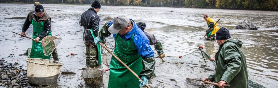 Abfischen ist Handarbeit