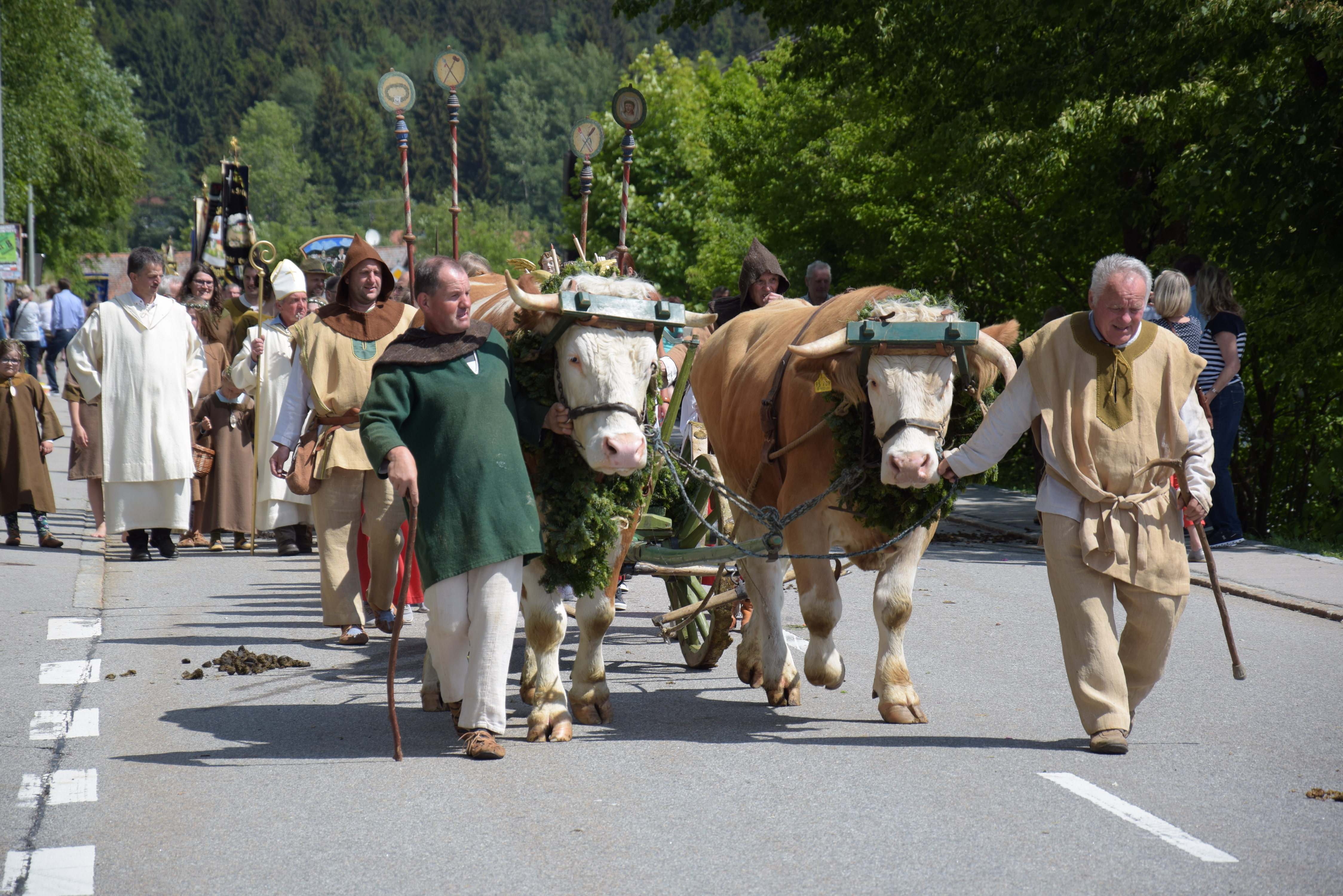 Das Ochsengespann mit dem Englmariwagen